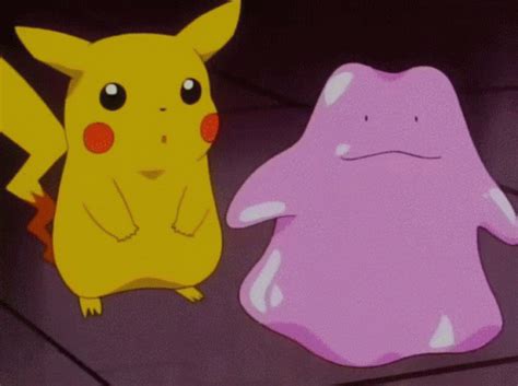 ditto gif|ditto gif funny.